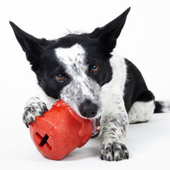 Meghan’s Mug of Cocoa Super Chewer Durable Enrichment Dog Toy