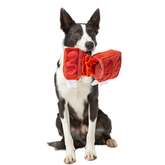 Baby Bark Ribs Plush Tug Dog Toy