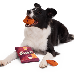 BarkBQ Chips Plush Multi-Part + Enrichment Dog Toy