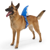 Bark Fin Plush Tug + Wearable Dog Toy