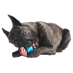 Base Brawl Super Chewer Durable 2-in-1 Fetch Dog Toy