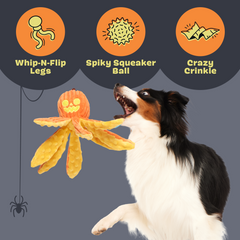 Jack-Ollie Lantern
