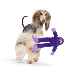 Buddy Bigfoot Plush Tug Dog Toy