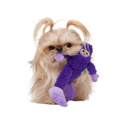 Buddy Bigfoot Plush Tug Dog Toy