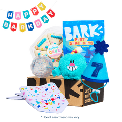Birthday Super Chewer Gift Box