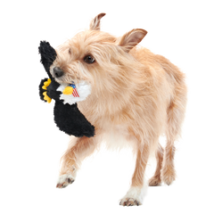Bold Eagle Plush Tug Dog Toy