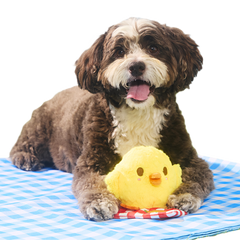 Chick-Nic Plush Tug Dog Toy