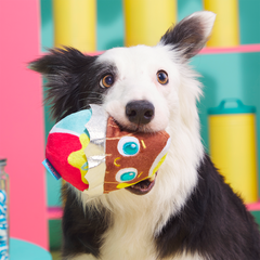 Cadfurry Eggs Plush Multi-Part + Fetch Dog Toy