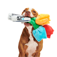 Cheer Up Boopquet Plush Tug + Multi-Part + Enrichment Dog Toy