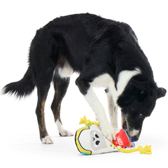 Chew Lace Chelsea Plush Tug Dog Toy