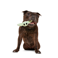 Chew and Chase Grogu™ Super Chewer Durable Gnaw Dog Toy