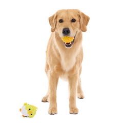 Chuck the Chick Super Chewer Durable 2-in-1 + Fetch Dog Toy