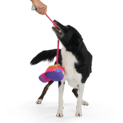 Chug n' Tug Hat Plush Dog Toy