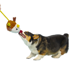 Cock-A-Doodle Dude Plush Tug + Fetch Dog Toy