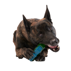 Crocness Monster Super Chewer Durable Gnaw Dog Toy