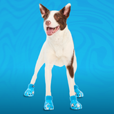 Crocs™ Shoes For Dogs