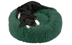 Dog Bed