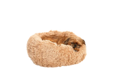 Dog Bed