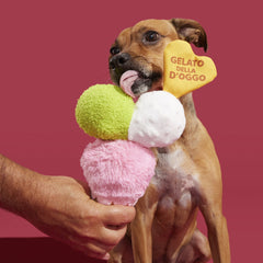 D'oggo Gelato Plush Tug Dog Toy
