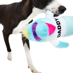 Daddy Dolphin Plush Tug Dog Toy