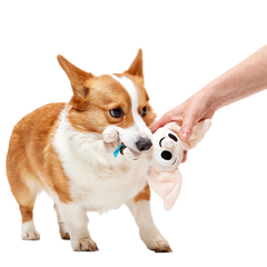 Dobby™ Plush 2-in-1 + Tug Dog Toy
