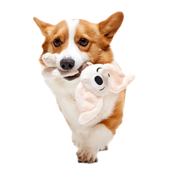 Dobby™ Plush 2-in-1 + Tug Dog Toy