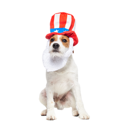 Dog Bless America Plush Wearable Tug Dog Toy