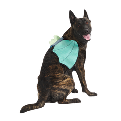 Doggo Dragon Wings Costume + Wearable Dog Toy