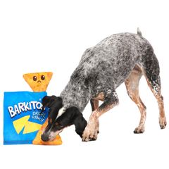 Drool Ranch Chips Plush Enrichment + Multi-Part Dog Toy