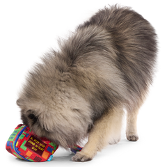 Saturday Night Live: Duck in A Box Plush Multi-Part + Enrichment Dog Toy