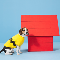Peanuts Dog Sweatshirt
