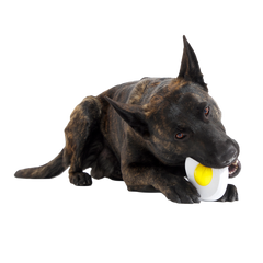 Egg Over Hard Super Chewer Durable Gnaw Dog Toy