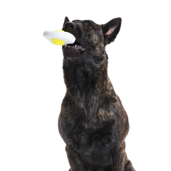 Egg Over Hard Super Chewer Durable Gnaw Dog Toy
