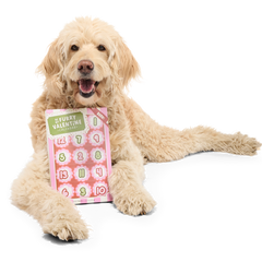 Be My Furry Valentine Treat Calendar Vegetarian Hard & Crunchy Dog Treats