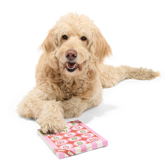 Be My Furry Valentine Treat Calendar Vegetarian Hard & Crunchy Dog Treats