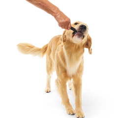 Beef Collagen Dog Chews, 5 Ct