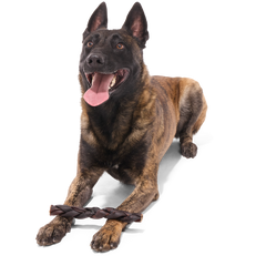 Beef Braided Collagen Dog Chew, Single, 9"