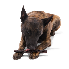 Beef Braided Collagen Dog Chew, Single, 9"