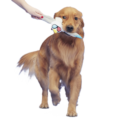 Free Gull Plush Tug Dog Toy