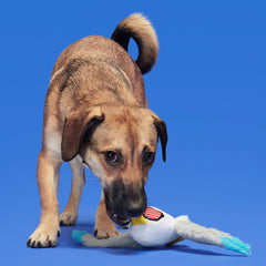 Free Gull Plush Tug Dog Toy