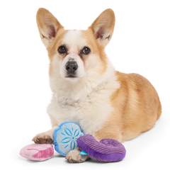 Fetchin' Squeakshells Plush Multi-Part Dog Toy