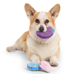 Fetchin' Squeakshells Plush Multi-Part Dog Toy