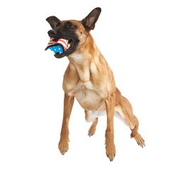 Flag Toofball Super Chewer Durable 2-in-1 + Fetch Dog Toy