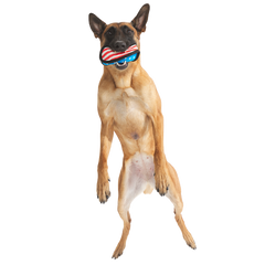 Flag Toofball Super Chewer Durable 2-in-1 + Fetch Dog Toy