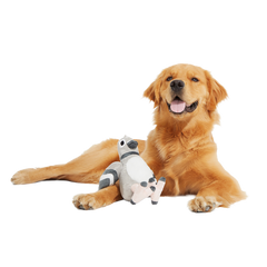 Flappin' Flossie Plush Tug Dog Toy