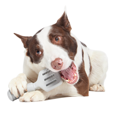 Flip It Good Spatula Super Chewer Durable Gnaw Dog Toy