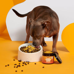 Pumpkin Spice, And Everything Nice Vegetarian Dog Food Meal Topper, 6.1 Oz