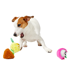 Fruity Cutie Tropical Trio Plush Multi-Part + Fetch Dog Toy