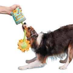 Funflower Seeds Plush Tug Dog Toy