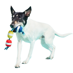 Good Buoys Plush Tug Dog Toy